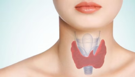 Gastroendo Endoscopia Colonoscopia Rio de Janeiro RJ Gastroenterologia Blog Hipotireoidismo e Ganho de Peso