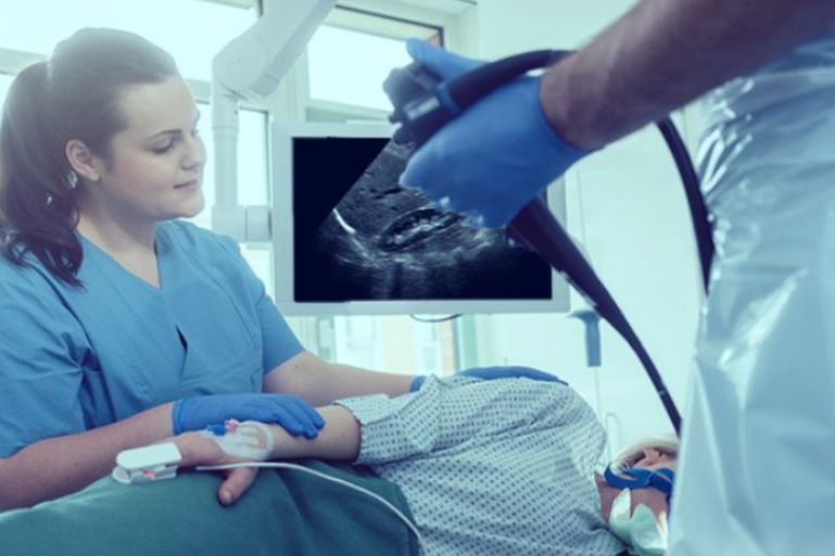 Gastroendo Rio de Janeiro RJ Gastroenterologia Exames Ecoendoscopia